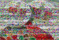 Shortwave Radiogram image