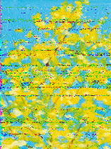 Shortwave Radiogram image