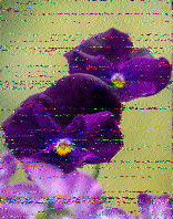 Shortwave Radiogram image