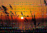 Shortwave Radiogram image