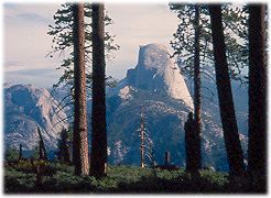 Half Dome from near Glacier Point