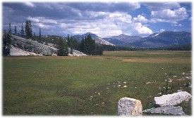 Tuolumne Meadows